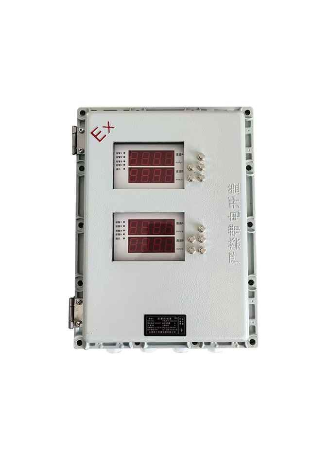 智能雙通道振動(dòng)監(jiān)測(cè)儀【防爆型】